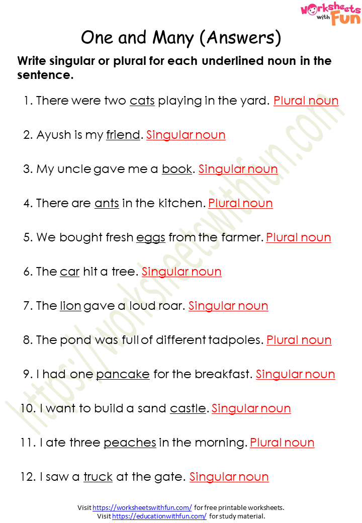 Singular Plural Worksheet For Class 1 With Answers